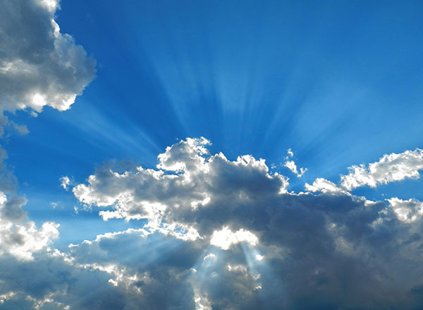 Testimonial-Contest-winner